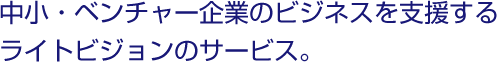 中小・ベンチャー企業のビジネスを支援するライトビジョンのサービス。